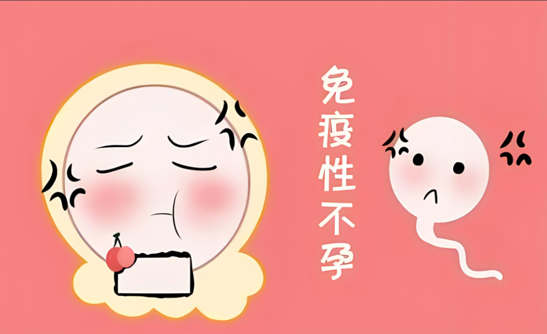 免疫系统会影响怀孕吗？如何调节免疫提高受孕率？如何进行免疫调节？