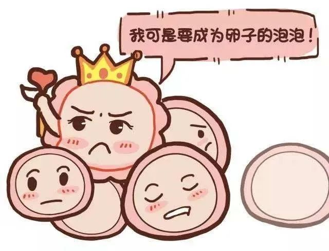 卵泡又大又圆却卵子质量差？备孕和试管婴儿如何破解这个难题？