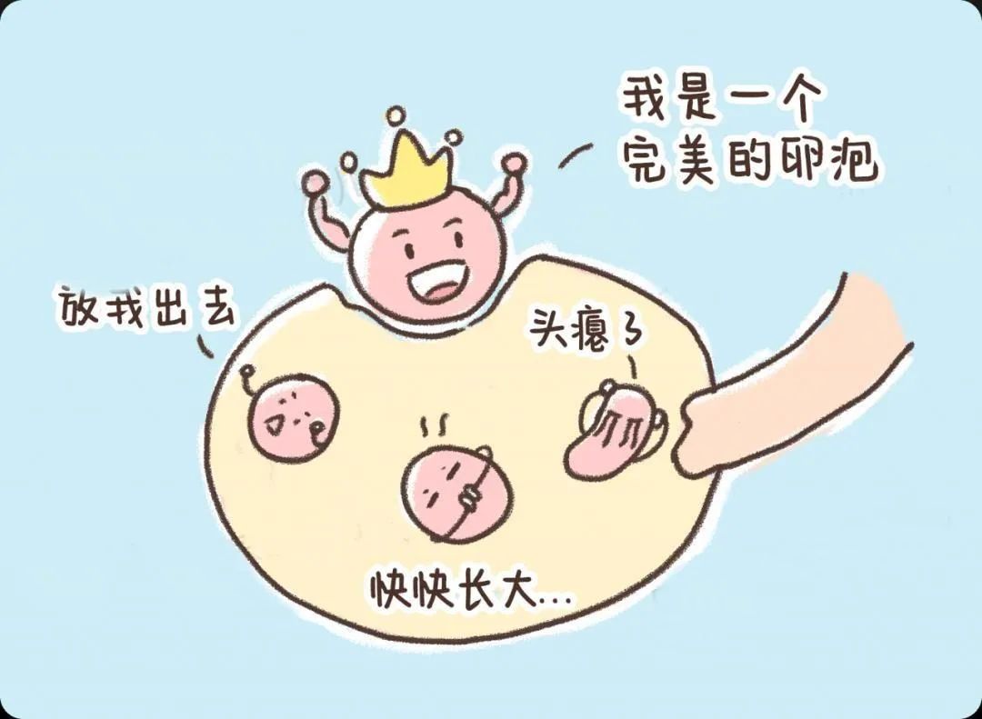 5岁+女性如何养出优质囊,提高卵子质量？高龄备孕成功经验分享！"