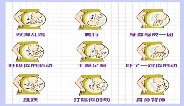 孕期胎动异常怎么办？胎儿缺氧的6大危险信号，孕妈妈要知道！！