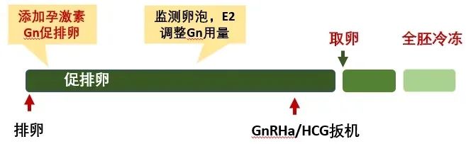 试管婴儿促排方案怎么选？最全试管促排方案合集，哪种适合你？