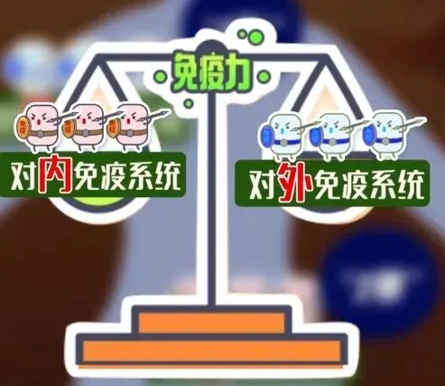 免疫系统会影响怀孕吗？如何调节免疫提高受孕率？如何进行免疫调节？