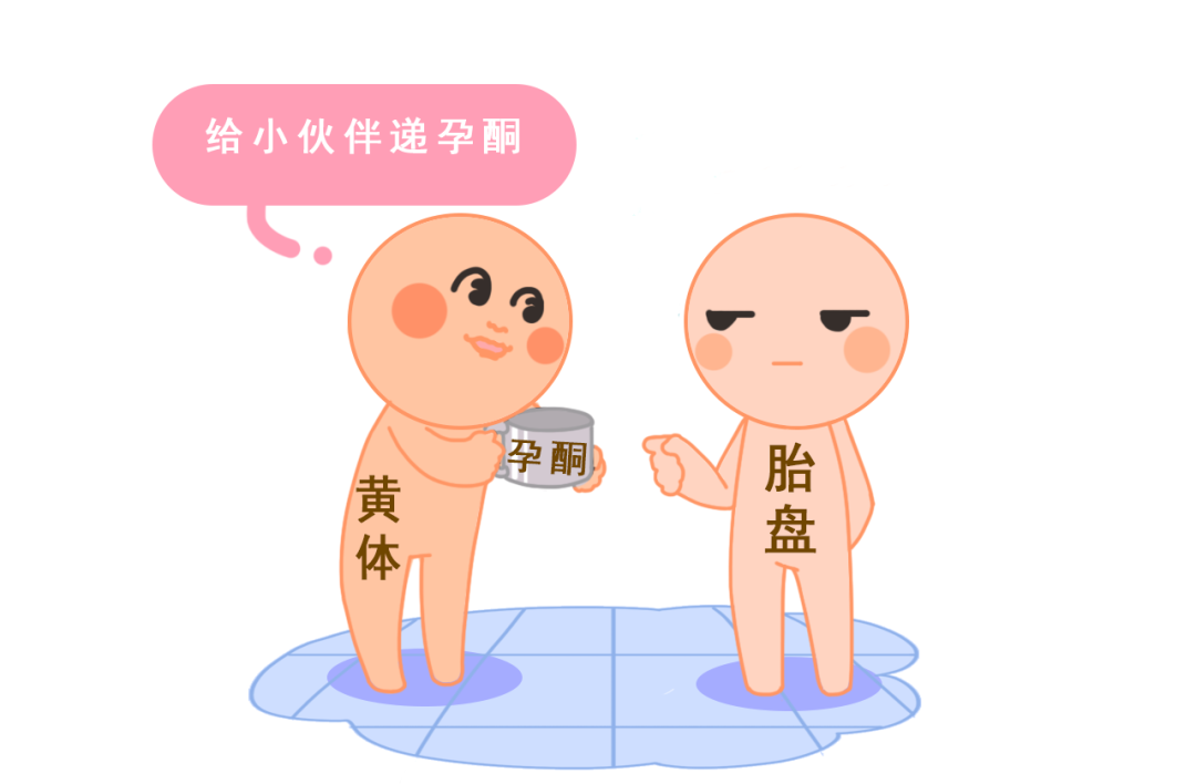 试管婴儿反复失败？可能是激素水平不达标！