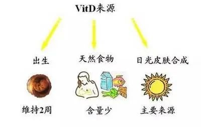 反复流产是子宫问题？备孕前如何科学养护子宫？备孕前养好子宫，流产风险降七成！