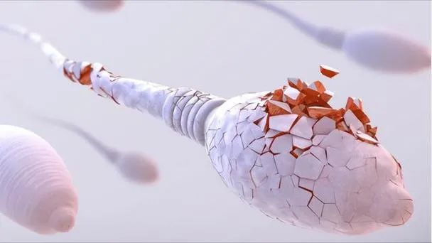 备孕总失败？你的精子和卵子可能正在'摆烂'！这些生殖冷知识你一定要知道