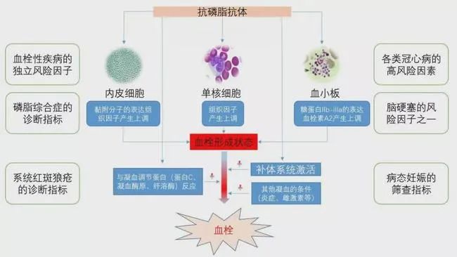 ​哪些因素最容易导致胚胎停育？ ​如何通过症状判断是否发生了胎停？