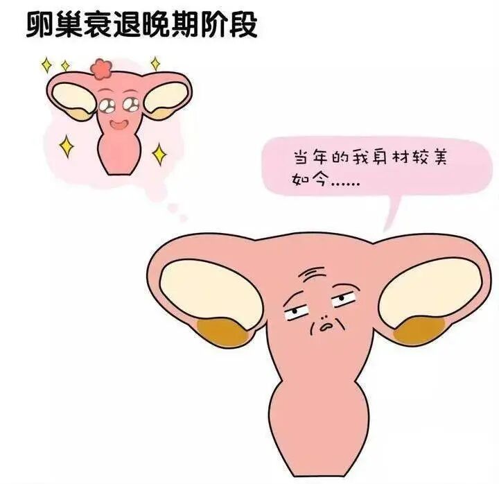 慢性炎症会影响生育力吗?卵巢内暗藏“生育杀手”:慢性炎症与不孕的真相! 慢性炎症会影响生育力吗?卵巢内暗藏“生育杀手”:慢性炎症与不孕的真相!
