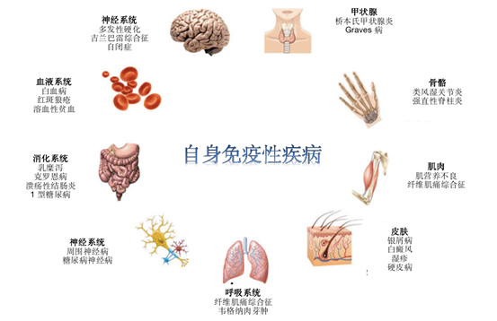 夫妻染色体正常，为何胚胎染色体异常？胚胎染色体异常的几个影响因素