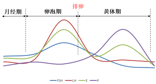 0岁后卵巢功能下降？4个方法帮你唤醒沉睡卵泡！"