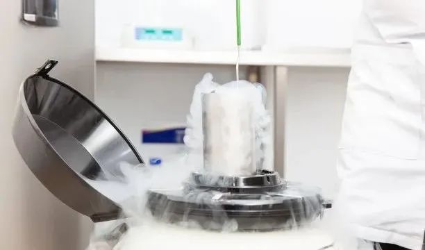 生育力保存是什么？癌症患者也能圆父母梦吗？如何通过冷冻卵子保存生育力？