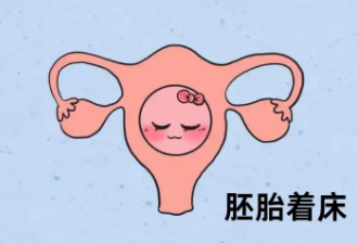 试管婴儿移植后为什么要补黄体酮?试管婴儿黄体酮怎么用?黄体酮对胚胎着床有多重要? 试管婴儿移植后为什么要补黄体酮?试管婴儿黄体酮怎么用?黄体酮对胚胎着床有多重要?
