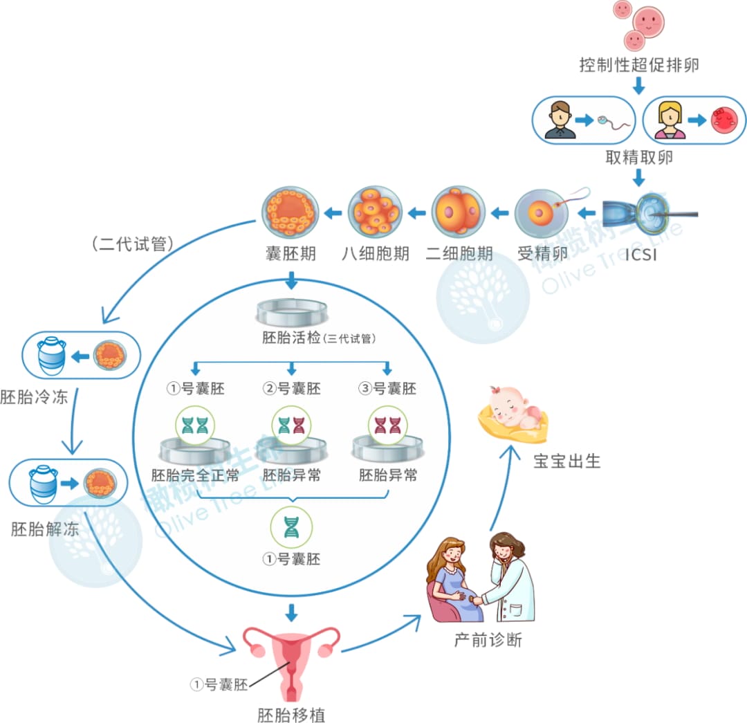 国际罕见病日 | 生而不凡，为爱呐“罕”