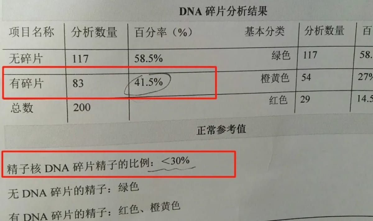 难孕问题中的男方不容忽视的隐匿问题是什么？精子DNA损伤常规处理方式是什么？