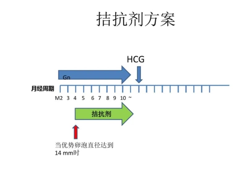 高龄女性试管婴儿成功率与哪些因素有关？高龄女性试管，做好这四点可快速抱娃！