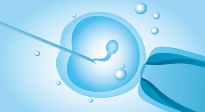 什么是纺锤体？纺锤体观测下的试管婴儿技术可让优胚率提升23%！