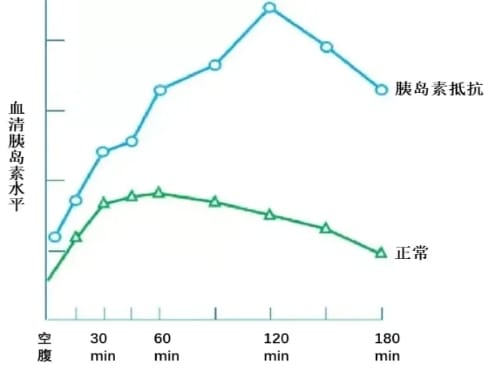 什么是胰岛素抵抗？胰岛素抵抗对生育的影响和改善方法有哪些？