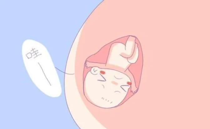 试管婴儿移植后的注意事项有哪些？试管婴儿移植后如何提高妊娠率？