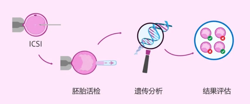 什么是试管婴儿胚胎冷冻？试管婴儿冷冻胚胎的意义及应用有哪些？