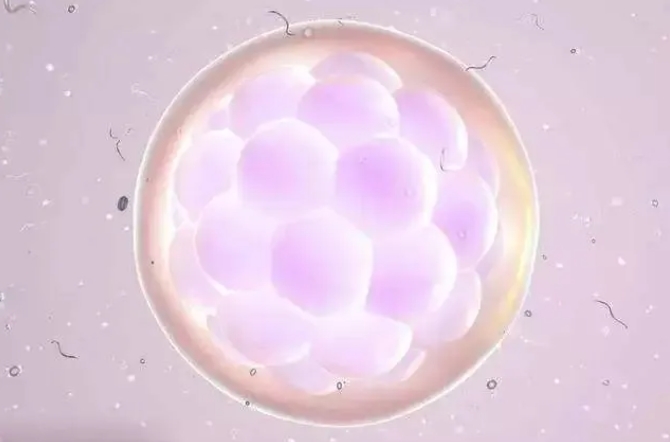卵泡小于18mm有可能获得卵子吗？试管婴儿治疗期间卵泡的大小会影响成功率吗？