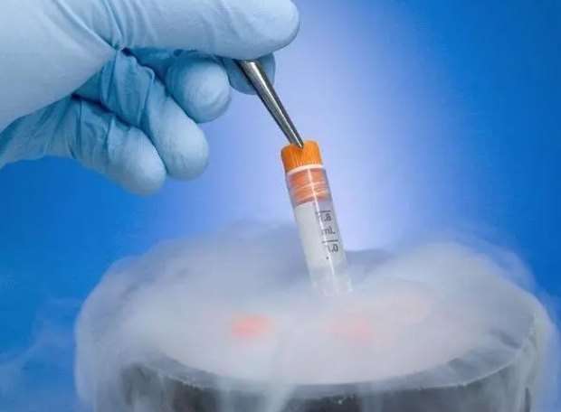 常用的试管婴儿胚胎复苏有哪些？如何选对合适的试管婴儿胚胎复苏方案？