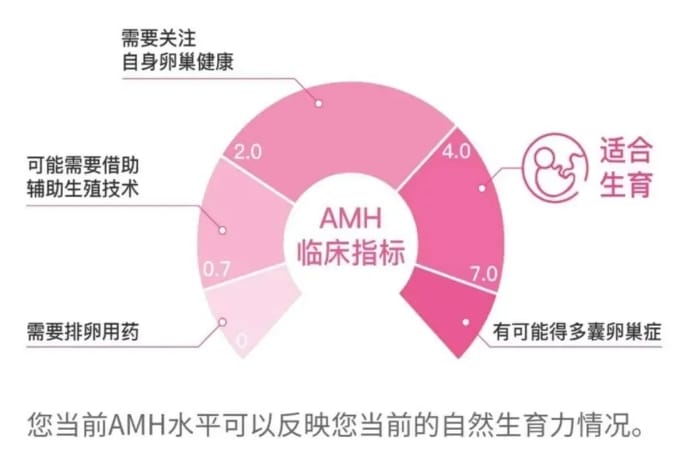 AMH值低≠不孕！试管婴儿前的AMH检查可以有效评估高龄女性生育潜力
