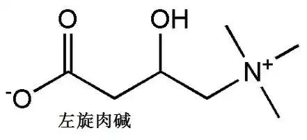 左旋肉碱真能养卵又助孕吗？试管婴儿周期中该不该吃左旋肉碱？