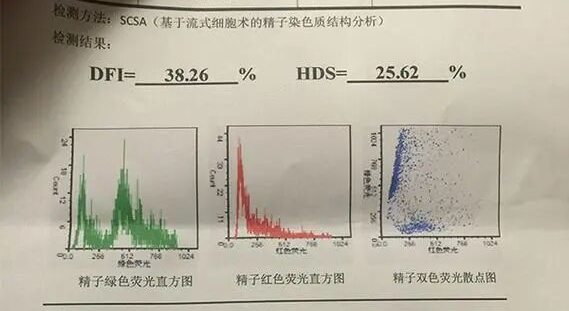 胚胎停止发育的原因有哪些？卵子质量如何影响囊胚形成率？如何提高囊胚培养成功率？