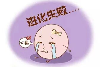 胚胎停止发育的原因有哪些？卵子质量如何影响囊胚形成率？如何提高囊胚培养成功率？