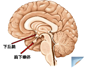 男性不育会影响怀孕吗？生不出娃，到底是谁的“锅”？男性不育的三大原因及治疗方案！