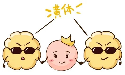 黄体支持有哪些方式?试管婴儿移植后为什么必须进行黄体支持? 黄体支持有哪些方式?试管婴儿移植后为什么必须进行黄体支持?