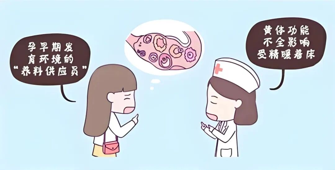 黄体支持有哪些方式?试管婴儿移植后为什么必须进行黄体支持? 黄体支持有哪些方式?试管婴儿移植后为什么必须进行黄体支持?