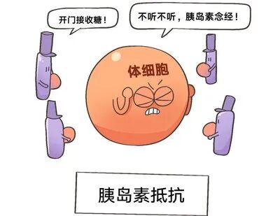 试管婴儿成功率差异大?年龄对试管婴儿成功率到底有何影响? 试管婴儿成功率差异大?年龄对试管婴儿成功率到底有何影响?
