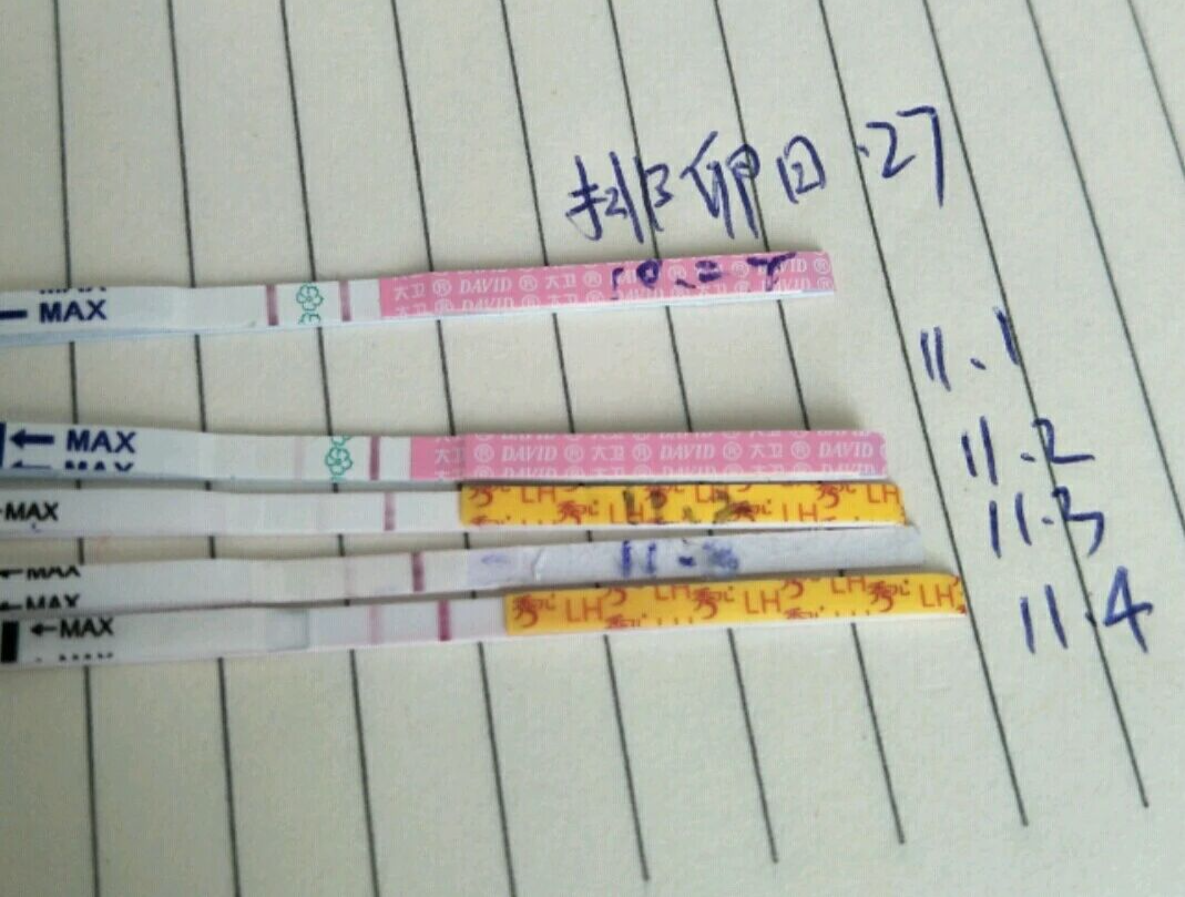 高龄备孕只吃叶酸够吗?高龄女性如何做好卵巢功能评估? 高龄备孕只吃叶酸够吗?高龄女性如何做好卵巢功能评估?