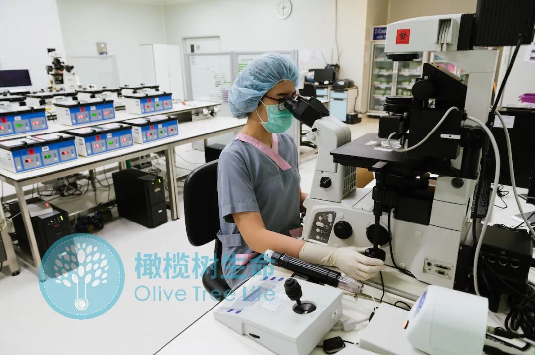 试管婴儿成功率差异大?年龄对试管婴儿成功率到底有何影响? 试管婴儿成功率差异大?年龄对试管婴儿成功率到底有何影响?