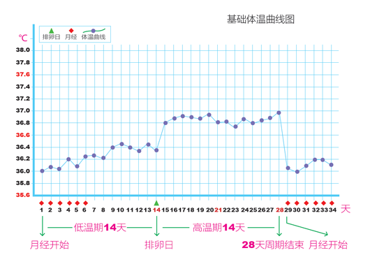 高龄备孕只吃叶酸够吗?高龄女性如何做好卵巢功能评估? 高龄备孕只吃叶酸够吗?高龄女性如何做好卵巢功能评估?