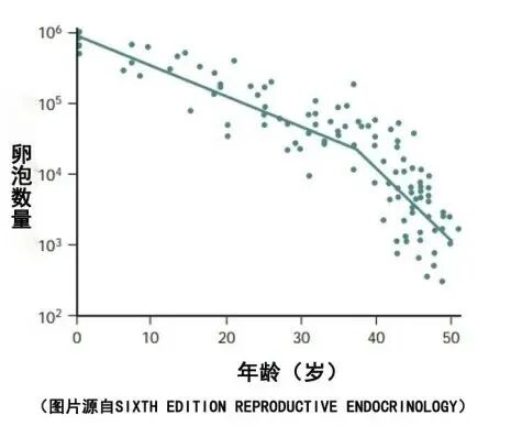 做试管婴儿促排卵泡越促越少?促排会透支卵巢储备吗?如何提高卵子质量而非数量? 做试管婴儿促排卵泡越促越少?促排会透支卵巢储备吗?如何提高卵子质量而非数量?
