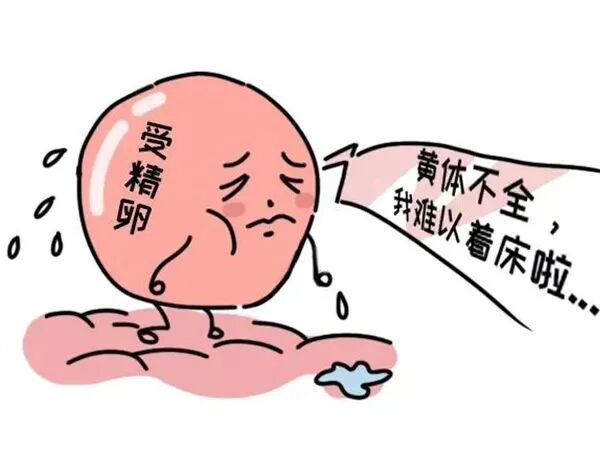 试管婴儿移植后黄体酮用药有哪些注意事项?试管备孕期间黄体酮用药出现副作用怎么办? 试管婴儿移植后黄体酮用药有哪些注意事项?试管备孕期间黄体酮用药出现副作用怎么办?