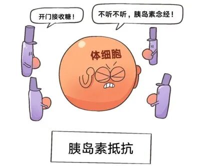 备孕总是怀不上?试管婴儿反复失败?可能是胰岛素抵抗在暗中捣乱! 备孕总是怀不上?试管婴儿反复失败?可能是胰岛素抵抗在暗中捣乱!
