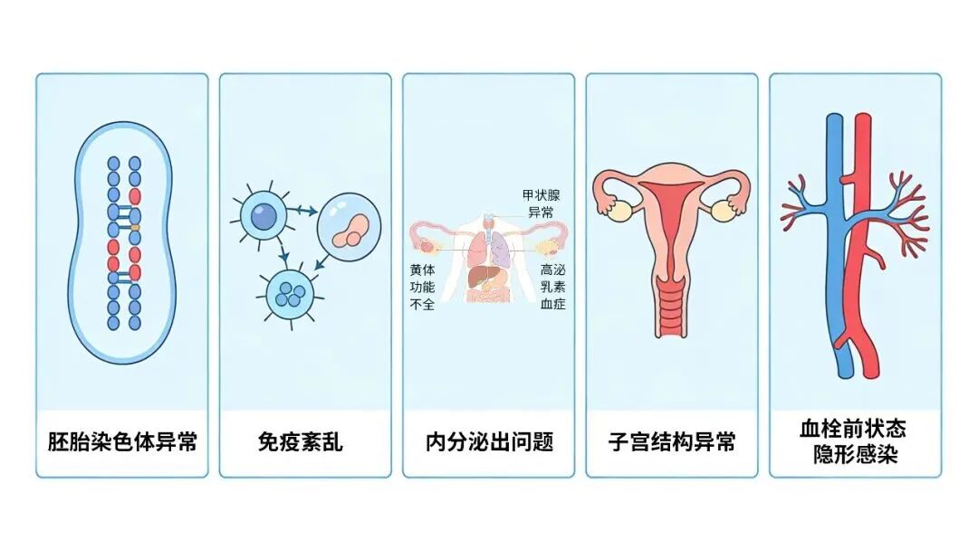 反复反复流产查不出原因?备孕期间需要警惕这个“代谢陷阱”吗? 反复反复流产查不出原因?备孕期间需要警惕这个“代谢陷阱”吗?