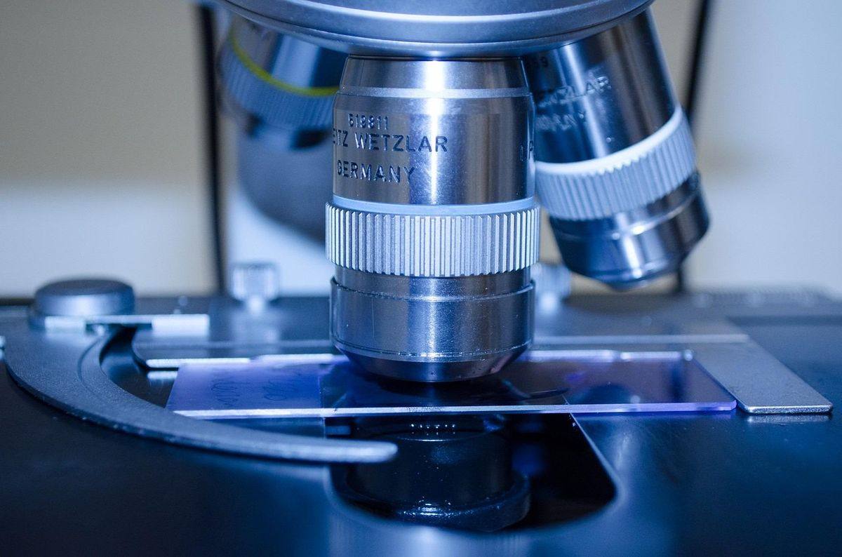 染色体检查要花多少钱?费用构成、适用人群与资质核验说清楚 染色体检查要花多少钱?费用构成、适用人群与资质核验说清楚