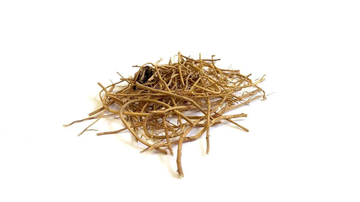 试管移植期间做针灸有用吗?关于时机与作用的四个常见误区 试管移植期间做针灸有用吗?关于时机与作用的四个常见误区