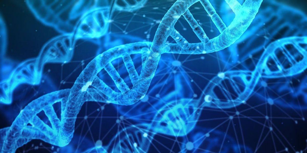 备孕遇到不孕问题,男方和女方的检查评估要怎么安排? 备孕遇到不孕问题,男方和女方的检查评估要怎么安排?