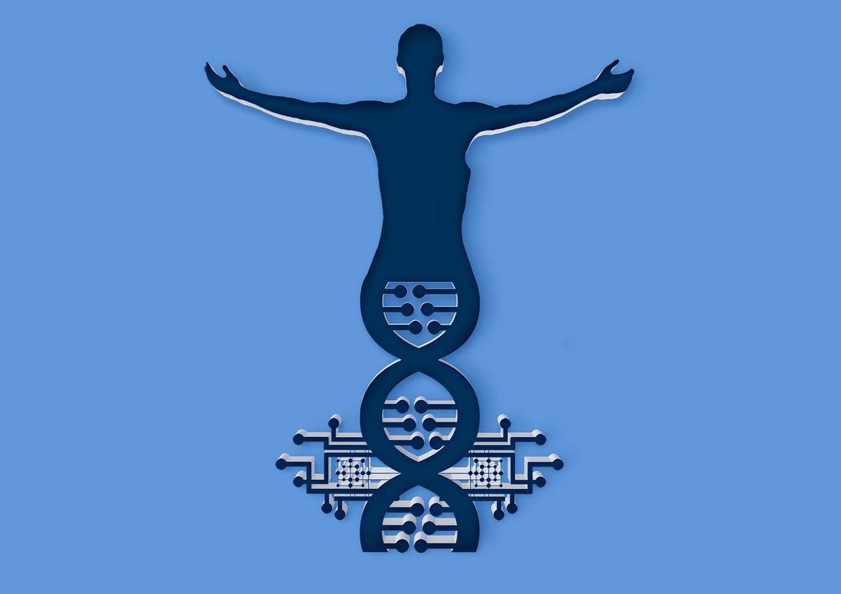 试管婴儿更容易生女孩吗?说法来源、真实变量与合规边界 试管婴儿更容易生女孩吗?说法来源、真实变量与合规边界