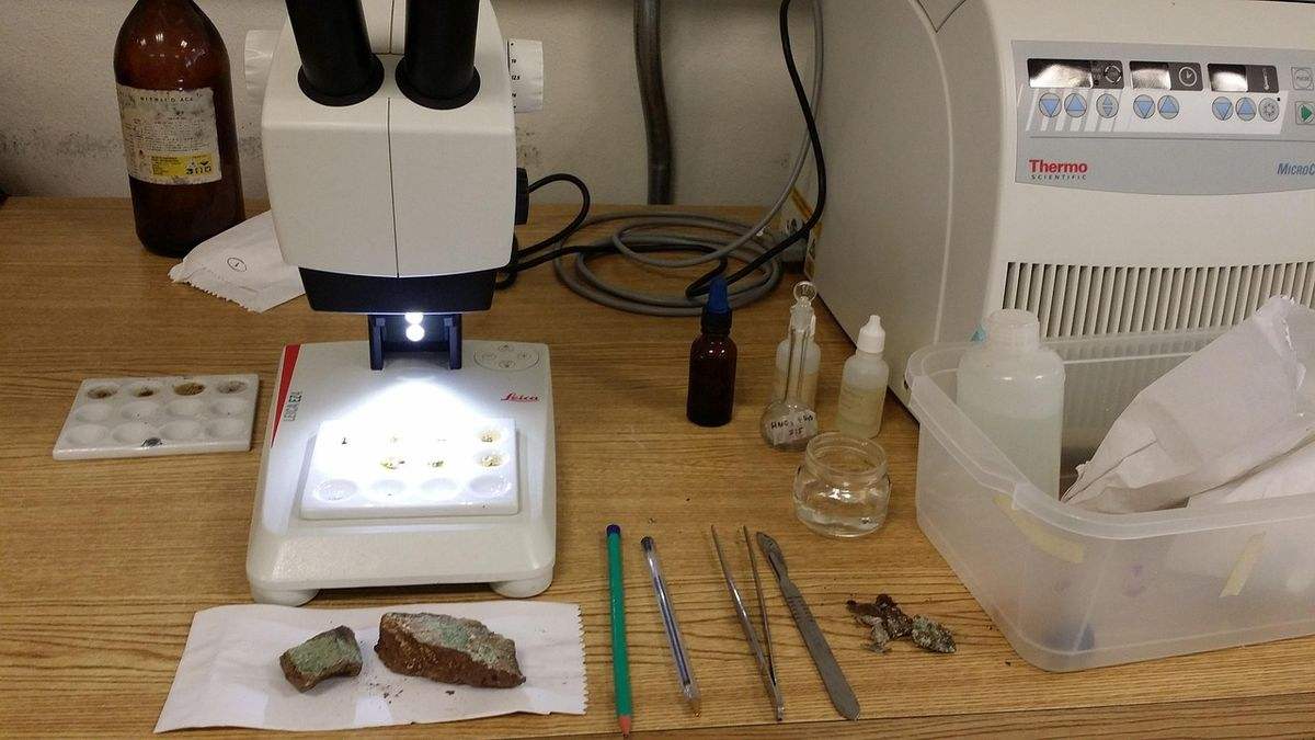 试管取精后精子到底能存活多久?实验室里的时间窗说明 试管取精后精子到底能存活多久?实验室里的时间窗说明